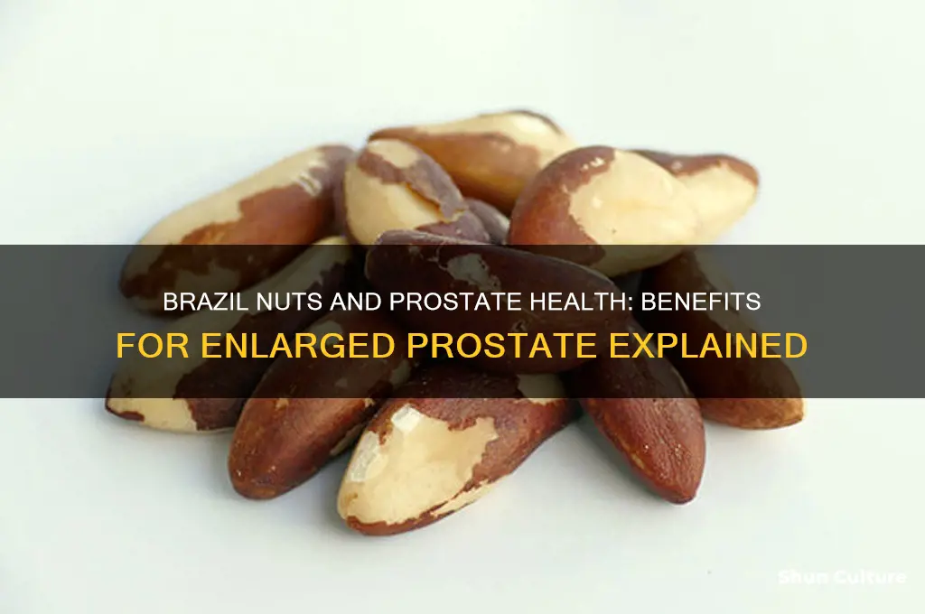 are brazil nuts good for enlarged prostate