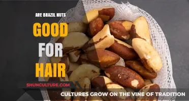 Brazil Nuts for Hair Growth: Benefits, Uses, and Tips
