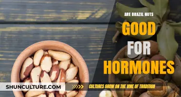 Brazil Nuts and Hormones: Unlocking Their Balancing Benefits