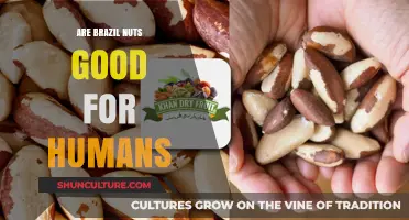 Brazil Nuts: Health Benefits, Risks, and Nutritional Value Explained