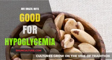 Brazil Nuts and Hypoglycemia: Benefits, Risks, and Nutritional Insights