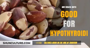 Brazil Nuts and Hypothyroidism: Unlocking Thyroid Health Benefits