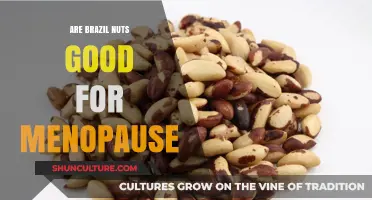 Brazil Nuts and Menopause: Unlocking Hormonal Balance Benefits