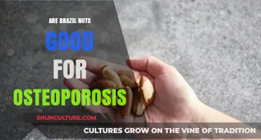 Brazil Nuts and Osteoporosis: Unlocking Bone Health Benefits