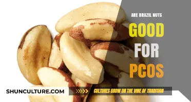 Brazil Nuts and PCOS: Benefits, Nutrition, and Hormonal Balance Explained