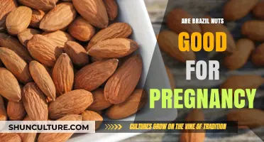 Brazil Nuts and Pregnancy: Benefits, Safety, and Nutritional Value