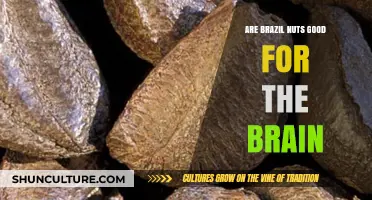 Boost Your Brain Health: The Surprising Benefits of Brazil Nuts