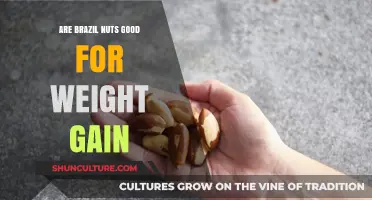 Brazil Nuts for Weight Gain: Nutritional Benefits and Effective Strategies