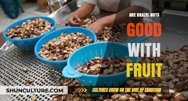 Brazil Nuts and Fruit: A Perfect Pairing for Health and Flavor