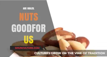 Brazil Nuts: Unlocking Health Benefits and Nutritional Power for Us
