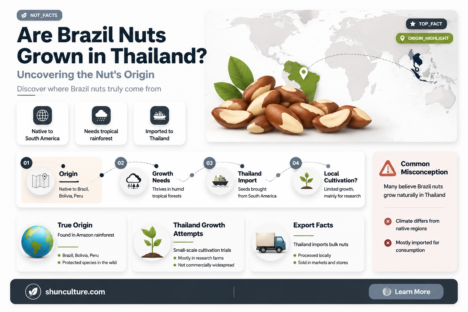 are brazil nuts grown in thailand