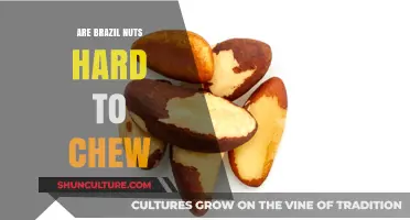 Are Brazil Nuts Hard to Chew? A Crunchy Texture Analysis