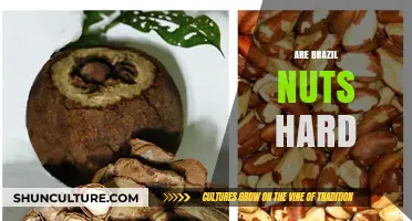 Are Brazil Nuts Hard to Crack? A Nut Lover's Guide