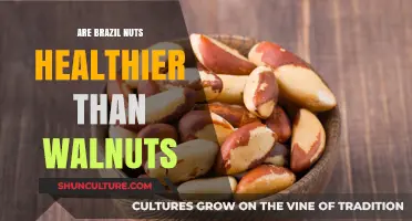 Brazil Nuts vs. Walnuts: Which Nut Reigns Supreme in Nutrition?