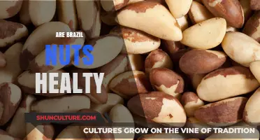Brazil Nuts: Unlocking Their Nutritional Benefits and Health Impacts
