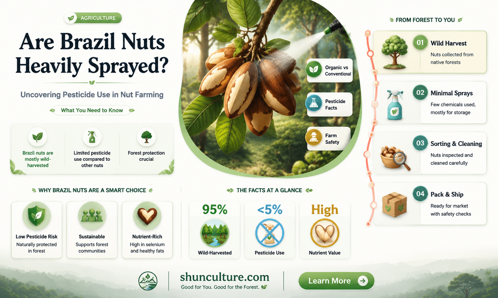 are brazil nuts heavily sprayed