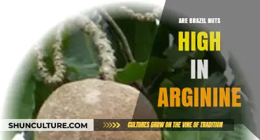 Brazil Nuts and Arginine: Uncovering Their Nutritional Benefits