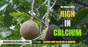 Brazil Nuts and Calcium: Unveiling Their Nutritional Benefits
