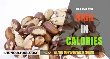 Brazil Nuts Calorie Count: Are They a High-Calorie Snack?