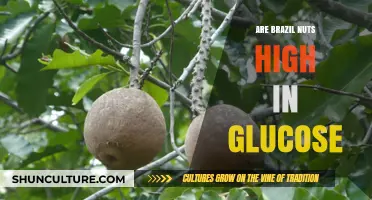 Brazil Nuts and Glucose: Uncovering Their Sugar Content Truth