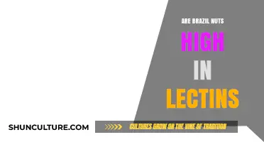 Brazil Nuts and Lectins: Uncovering the Truth About Their Content