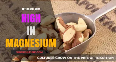 Brazil Nuts and Magnesium: Unlocking Their Nutritional Power
