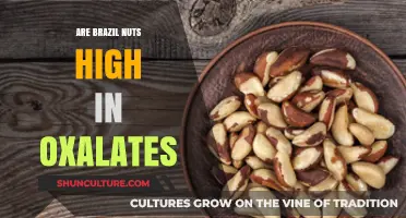 Are Brazil Nuts High in Oxalates? Facts and Nutritional Insights
