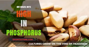 Brazil Nuts and Phosphorus: Uncovering Their Nutritional Benefits