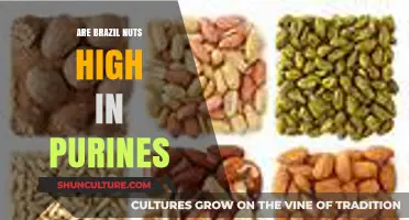 Are Brazil Nuts High in Purines? Facts and Health Insights