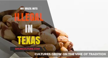 Are Brazil Nuts Banned in Texas? Unraveling the Legal Confusion