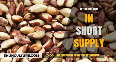 Brazil Nuts Shortage: Causes, Impact, and Future Supply Concerns