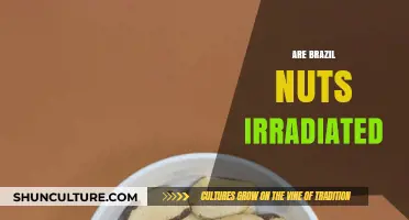 Are Brazil Nuts Irradiated? Uncovering the Truth About Food Safety