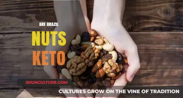 Are Brazil Nuts Keto-Friendly? Nutritional Benefits and Carb Count
