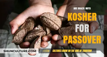 Are Brazil Nuts Kosher for Passover? Exploring Nutritional and Religious Guidelines