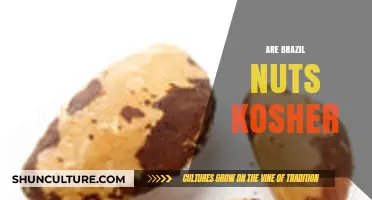 Are Brazil Nuts Kosher? Exploring Their Status in Jewish Dietary Laws