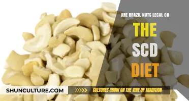 Are Brazil Nuts SCD Diet-Friendly? Legal or Off-Limits?