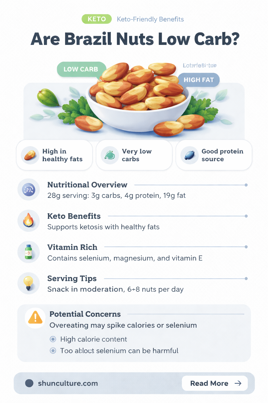 are brazil nuts low carb