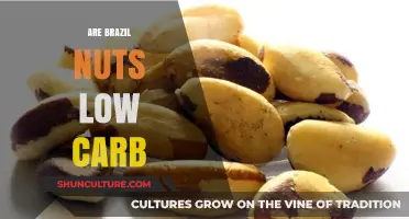 Are Brazil Nuts Low Carb? Nutritional Facts and Keto-Friendly Benefits