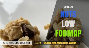 Are Brazil Nuts Low FODMAP? A Diet-Friendly Snack Guide