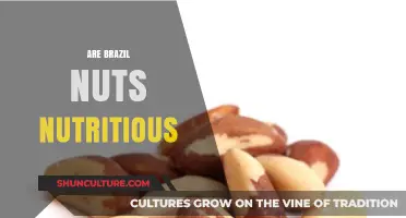 Brazil Nuts: Unlocking Their Nutritional Power and Health Benefits