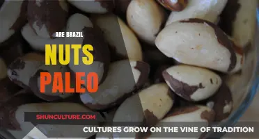 Are Brazil Nuts Paleo? A Nutritional Guide for Paleo Diets