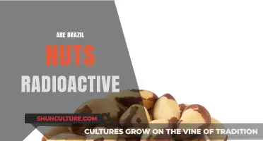 Are Brazil Nuts Radioactive? Uncovering the Truth About Their Radiation