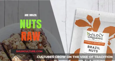 Are Brazil Nuts Raw? Uncovering the Truth About Their Processing