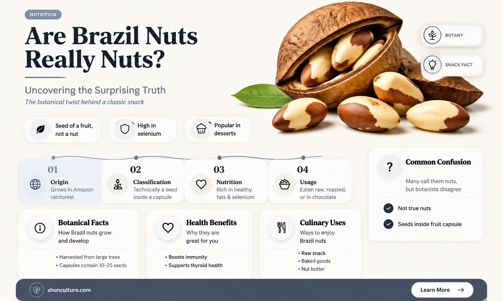 are brazil nuts really nuts