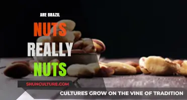 Are Brazil Nuts Really Nuts? Uncovering the Surprising Truth