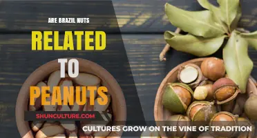Brazil Nuts vs. Peanuts: Unraveling the Nutty Family Connection