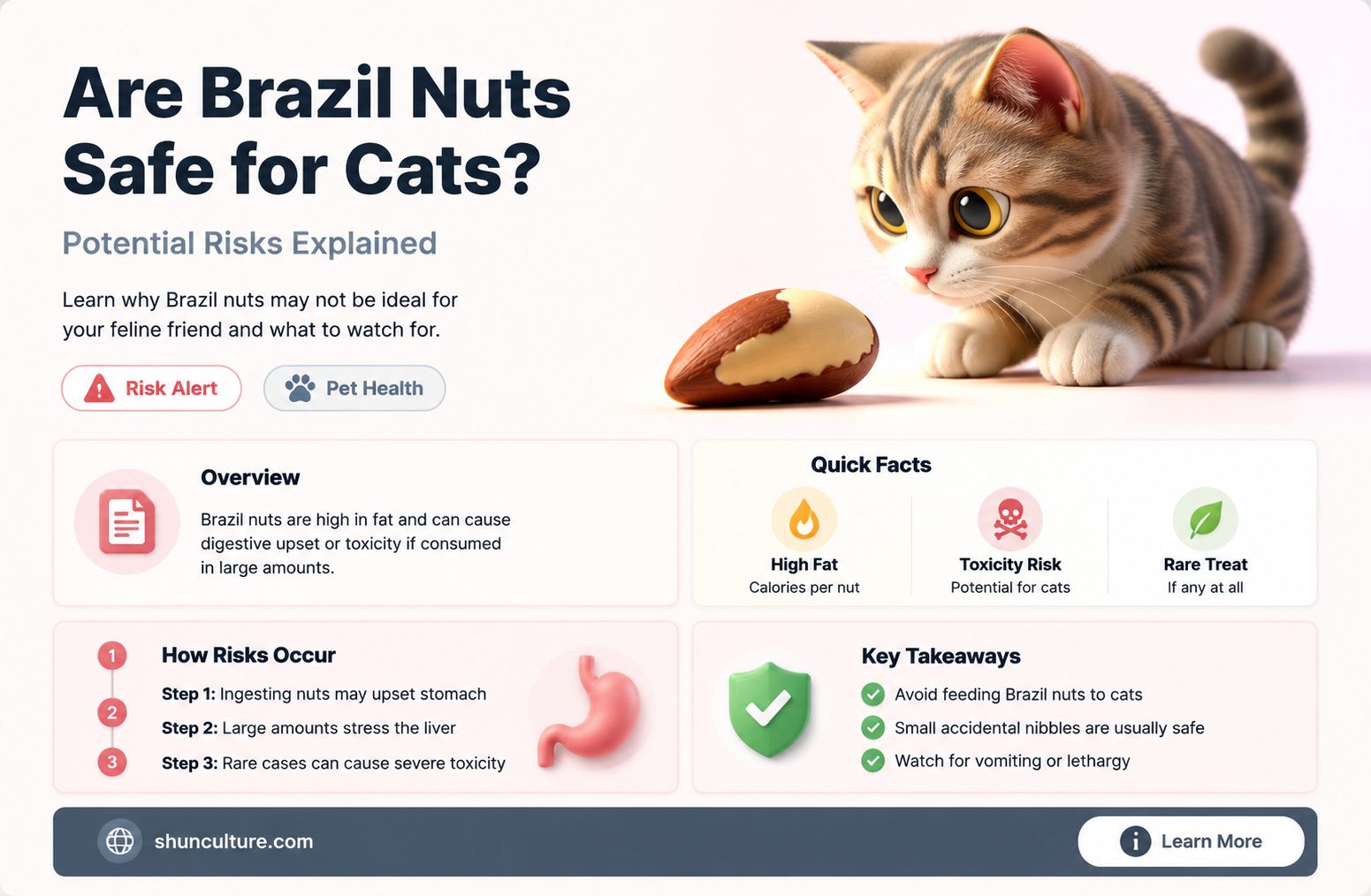 are brazil nuts toxic to cats