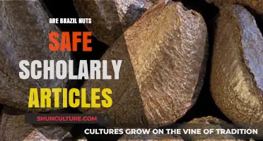 Brazil Nuts Safety: Scholarly Insights on Consumption and Health Risks