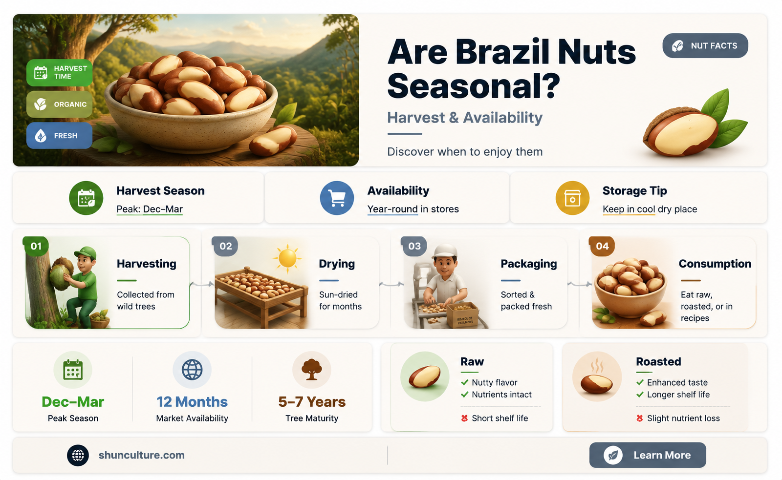 are brazil nuts seasonal