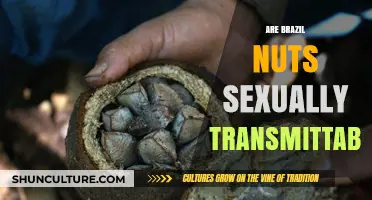 Are Brazil Nuts Sexually Transmittable? Debunking the Myth